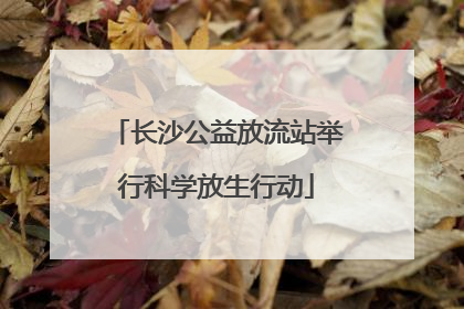 长沙公益放流站举行科学放生行动