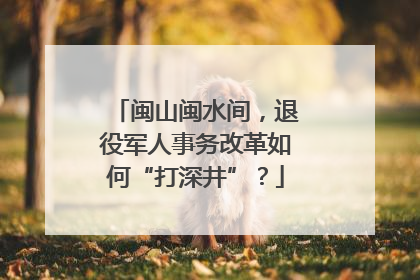 闽山闽水间，退役军人事务改革如何“打深井”？