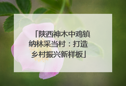 陕西神木中鸡镇纳林采当村：打造乡村振兴新样板