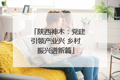 陕西神木：党建引领产业兴 乡村振兴谱新篇
