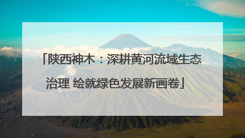 陕西神木：深耕黄河流域生态治理 绘就绿色发展新画卷