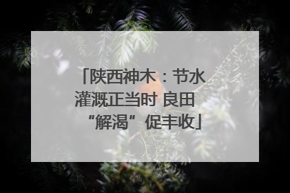 陕西神木：节水灌溉正当时 良田“解渴”促丰收