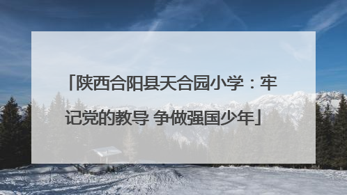 陕西合阳县天合园小学：牢记党的教导 争做强国少年