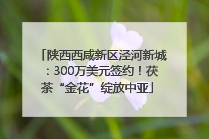 陕西西咸新区泾河新城：300万美元签约！茯茶“金花”绽放中亚