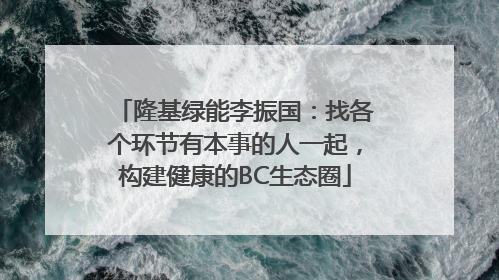 隆基绿能李振国：找各个环节有本事的人一起，构建健康的BC生态圈