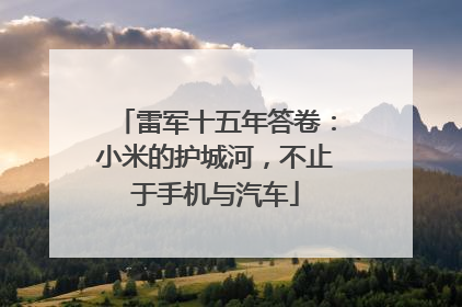 雷军十五年答卷：小米的护城河，不止于手机与汽车