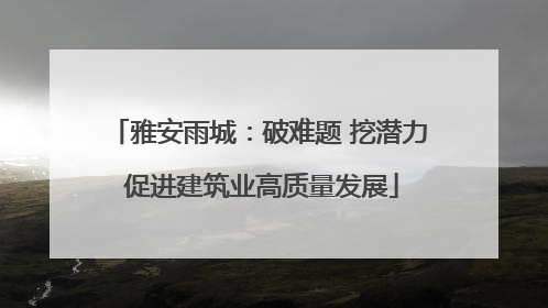雅安雨城：破难题 挖潜力 促进建筑业高质量发展