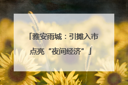 雅安雨城：引摊入市 点亮“夜间经济”