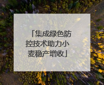 集成绿色防控技术助力小麦稳产增收