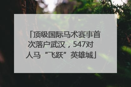 顶级国际马术赛事首次落户武汉，547对人马“飞跃”英雄城
