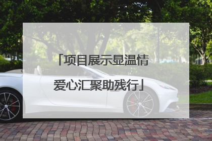 项目展示显温情 爱心汇聚助残行