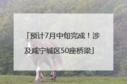 预计7月中旬完成！涉及咸宁城区50座桥梁