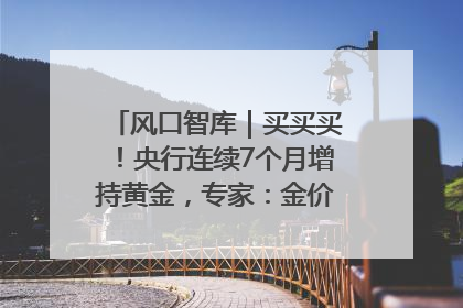 风口智库｜买买买！央行连续7个月增持黄金，专家：金价或仍易涨难跌