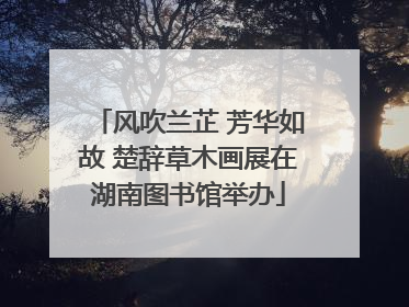 风吹兰芷 芳华如故 楚辞草木画展在湖南图书馆举办