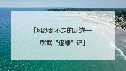 风沙刮不走的足迹——彰武“逐绿”记
