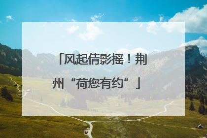 风起倩影摇！荆州“荷您有约”