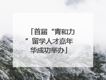 首届“青和力”留学人才嘉年华成功举办