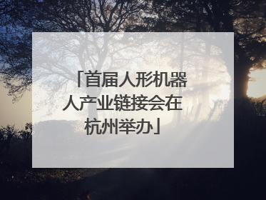 首届人形机器人产业链接会在杭州举办