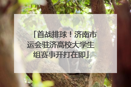 首战排球！济南市运会驻济高校大学生组赛事开打在即