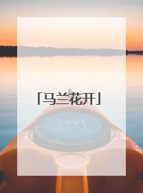 马兰花开
