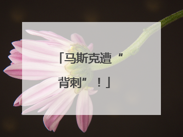 马斯克遭“背刺”！