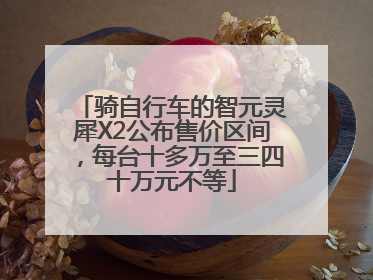 骑自行车的智元灵犀X2公布售价区间，每台十多万至三四十万元不等