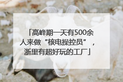 高峰期一天有500余人来做“核电操控员”，浙里有超好玩的工厂