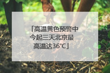 高温黄色预警中 今起三天北京最高温达36℃