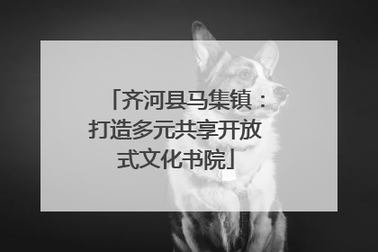 齐河县马集镇：打造多元共享开放式文化书院