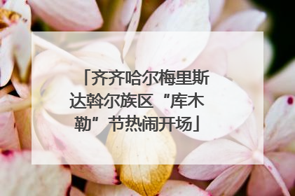 齐齐哈尔梅里斯达斡尔族区“库木勒”节热闹开场