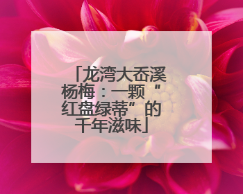 龙湾大岙溪杨梅：一颗“红盘绿蒂”的千年滋味