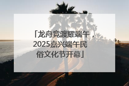 龙舟竞渡耀端午，2025嘉兴端午民俗文化节开幕