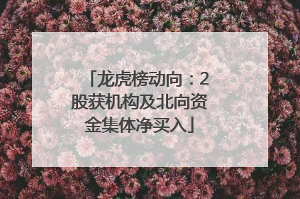龙虎榜动向：2股获机构及北向资金集体净买入