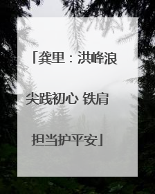 龚里：洪峰浪尖践初心 铁肩担当护平安