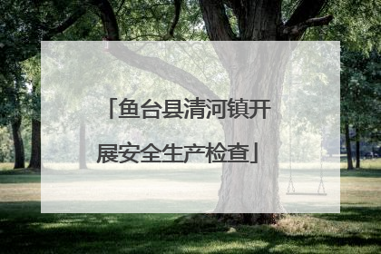 鱼台县清河镇开展安全生产检查