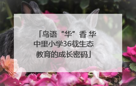 鸟语“华”香 华中里小学36载生态教育的成长密码