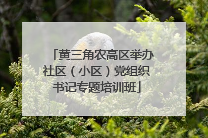 黄三角农高区举办社区（小区）党组织书记专题培训班