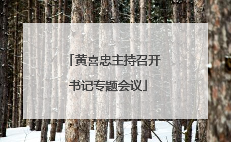 黄喜忠主持召开书记专题会议
