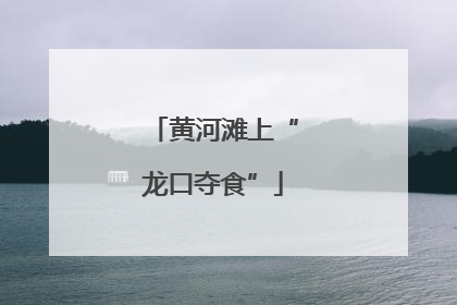 黄河滩上“龙口夺食”
