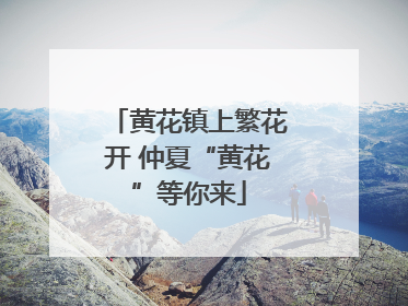 黄花镇上繁花开 仲夏“黄花”等你来