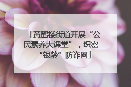 黄鹤楼街道开展“公民素养大课堂”，织密“银龄”防诈网