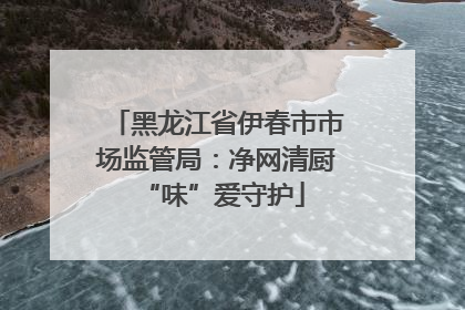 黑龙江省伊春市市场监管局：净网清厨 “味”爱守护