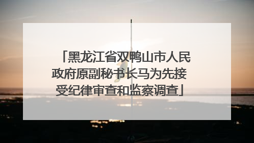 黑龙江省双鸭山市人民政府原副秘书长马为先接受纪律审查和监察调查