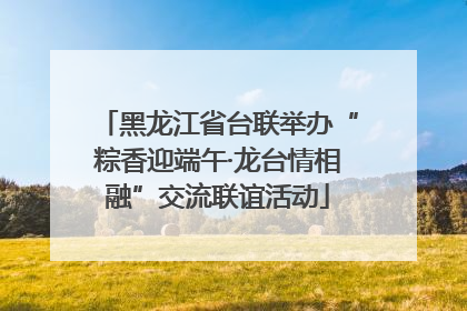 黑龙江省台联举办“粽香迎端午·龙台情相融”交流联谊活动