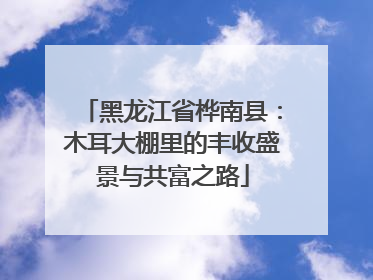 黑龙江省桦南县：木耳大棚里的丰收盛景与共富之路