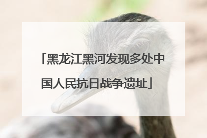 黑龙江黑河发现多处中国人民抗日战争遗址