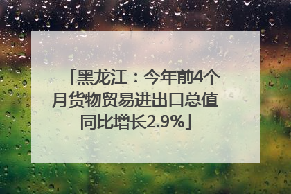 黑龙江：今年前4个月货物贸易进出口总值同比增长2.9%