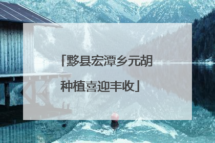 黟县宏潭乡元胡种植喜迎丰收