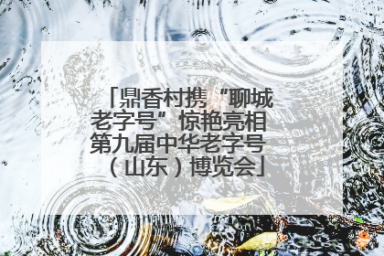 鼎香村携“聊城老字号”惊艳亮相第九届中华老字号（山东）博览会
