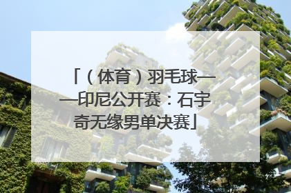 （体育）羽毛球——印尼公开赛：石宇奇无缘男单决赛